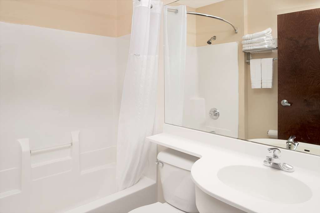 Microtel Inn & Suites By Wyndham Bellevue Ruang foto